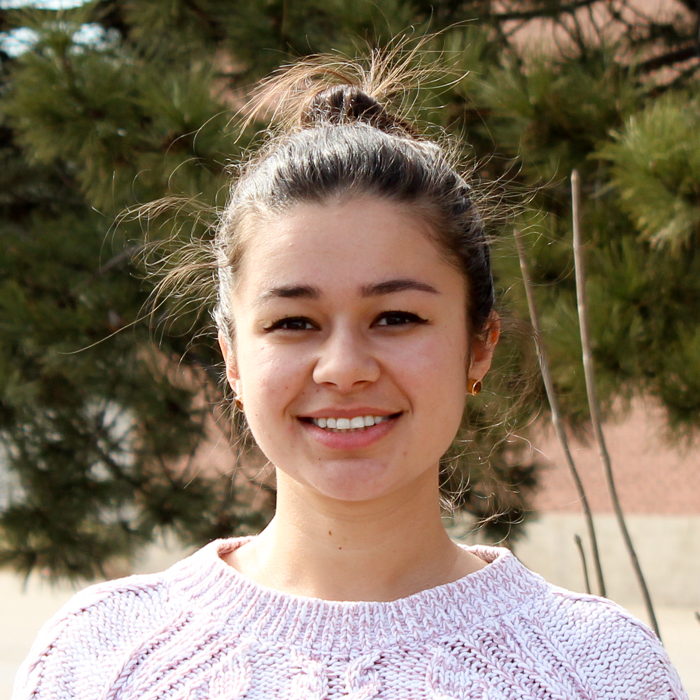 Dina Nikitina